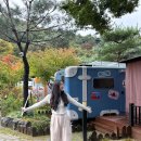 오시유 | 충남 캠핑장 오시유 글램핑장 카라반 내돈내산 후기 4인