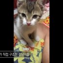 배우 이민우 놀라운 근황 이미지