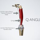 다온동물병원 이미지