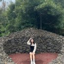 영신농장 이미지