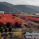 진전면842 이미지