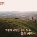 봄날처럼민박 이미지