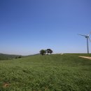 대관령 사파리 목장 이미지