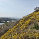 응봉개나리어린이공원 이미지