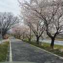 오수시장 Daum카페
