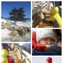 민성목장 이미지