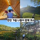 태학산약수 | 천안 가을 나들이 완벽 부수기 코스