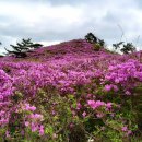 용추농원 이미지