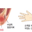 사직마디의원 이미지