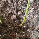 월계수한의원 이미지