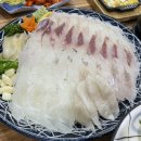 싱싱횟집 네이버블로그