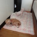 조금씩 .조금씩.. 이미지