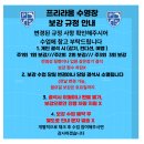 프리라움 수영장 이미지