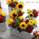 (주)이지영디자인 이미지
