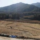 주암부동산공인중개사사무소 이미지