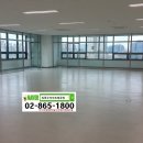 지하이시티 이미지