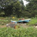 완월동140 이미지