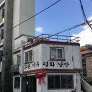 제주편백휴낭 | 제주 혼자 여행 DAY 4｜사랑자유평화낭만 · 로미뮤직하우스 · 자드부팡 · 자유의지