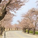 바우길 13구간 | 강릉렌트카추천 모자이카, 꼭 가봐야 할 강릉여행지 소개할게요