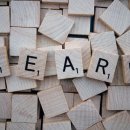 진심곳간 이미지