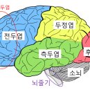 케어메디칼 이미지