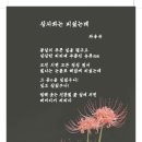 상사화는 피었는데 이미지