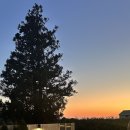 제주 덕수재 이미지