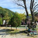 캠프오후4시 이미지