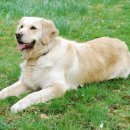 나루 동물병원 이미지