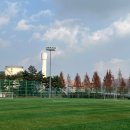 옥녀봉체육시설 배드민턴장 이미지