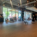 발넷이야 이미지