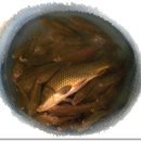 백지농원