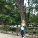 첼로병원 이미지