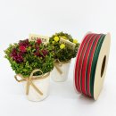 제이제이세븐 이미지