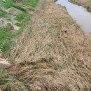 임해농장 이미지