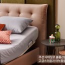 일룸전군점