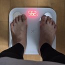 365좋은날한의원 | 위고비 마운자로보다 효과 좋았던 목동다이어트한의원 디토스틱으로 운동없이 2주 동안 3키로 뺀 후기