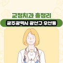 우산로95번길 | 광주광역시 광산구 우산동 교정치과 총정리