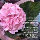 모스커피 이미지