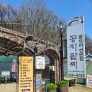 (주)콩지팥찌 | 의왕 팥칼국수 팥옹심이 콩지팥찌 문화예술로 벚꽃만개
