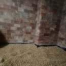 제이씨엠스파 이미지