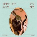 수수께끼