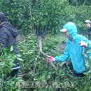 서홍동주민센터 이미지