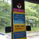 신영숙콜렉션 | 대유잼도시 청주에서 하루 (2023.08.12~13)