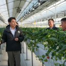 김진태 농가 이미지