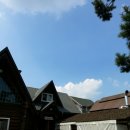 양지한우타운식당 이미지