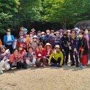 노인일자리협동조합