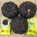 &#39;운남 普洱茶&#39;의 어제와 오늘 (4)