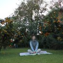 스테이비갠오후 이미지