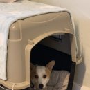 봄봄유치원 이미지